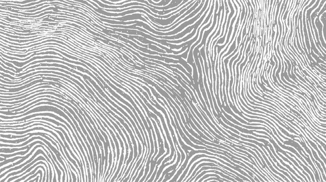 Abstract pattern of wavy white lines on a textured grey background resembling wood grain or fingerprints