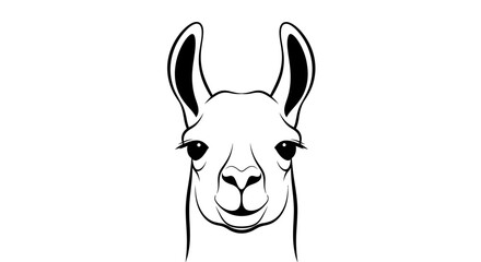 Fototapeta premium Black and white line art illustration of a llama's head looking directly forward with a gentle expression.