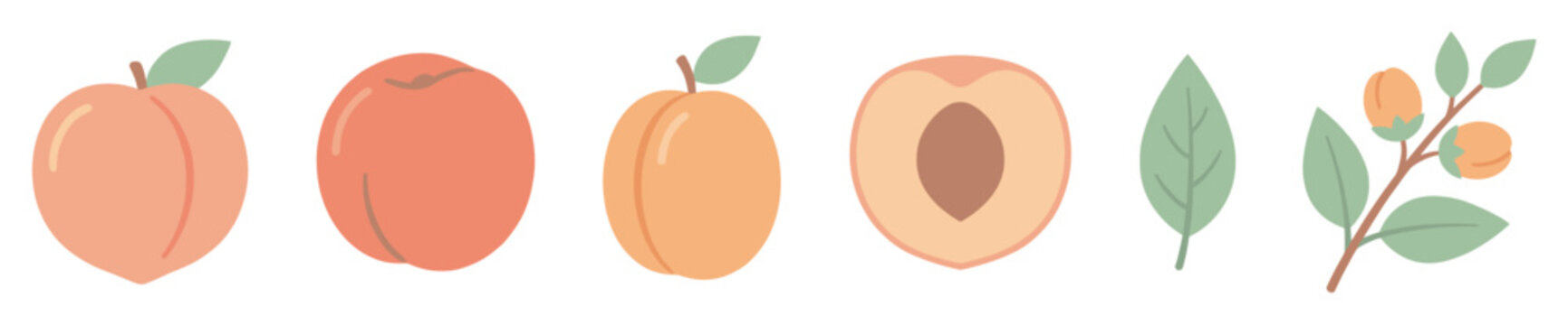 Stylized collection of fresh peaches, apricot, and foliage elements presented in a charming flat design with soft pastel colors, illustrating healthy fruit