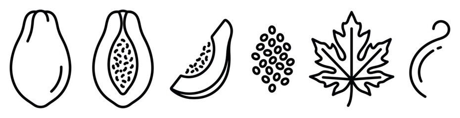 Obraz premium Simple black outline illustrations of papaya fruit, including whole, half, slice, and seeds, alongside a maple leaf and a decorative swirl element, presented in a clean graphic style