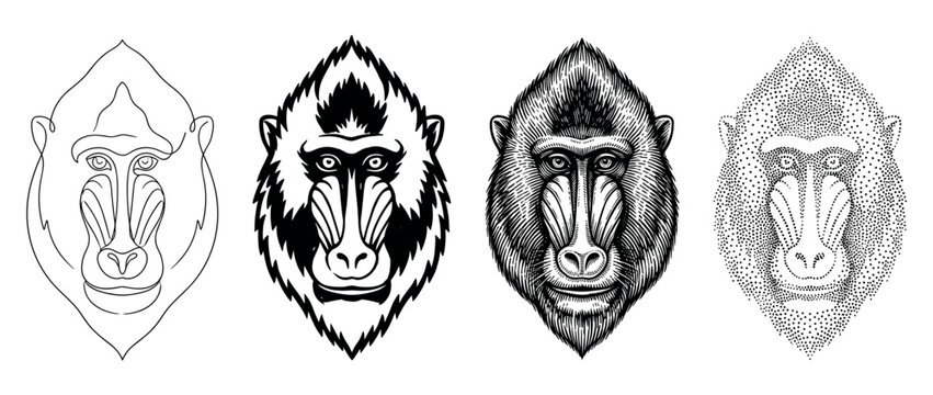 Four distinct black and white mandrill head illustrations showcasing various artistic styles including outline, solid graphic, detailed hatching, and stippling techniques, presented in a row