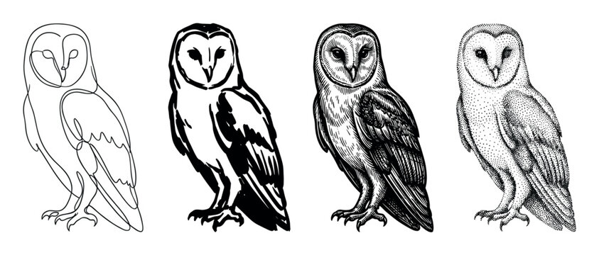 Four distinct black and white barn owl illustrations showcasing various artistic styles including line art, brush stroke, engraving, and stippling, presented side by side
