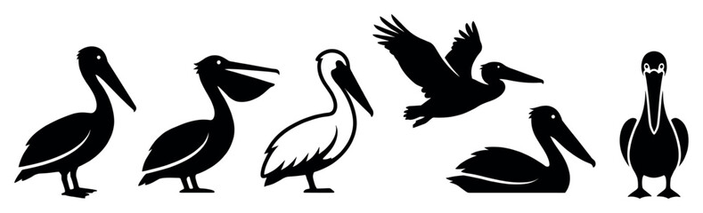 Obraz premium Six distinct pelican bird silhouettes are depicted in various poses, including standing, flying, and swimming, rendered in a clean, graphic black and white illustration style