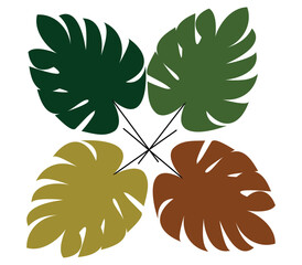 Colorful monstera tropical leaves flat vector set, Modern monstera leaf collection minimal design, Tropical palm monstera leaves decorative vector © Ruhi.Art