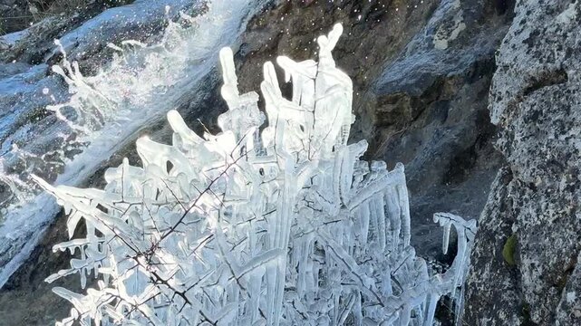 The freezing and fraying of tree branches due to the splashing of waterfall water.