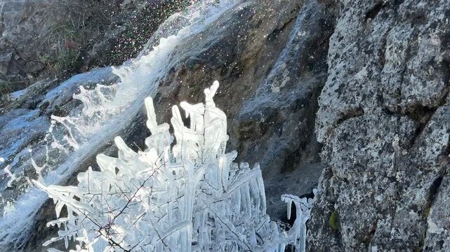 The freezing and fraying of tree branches due to the splashing of waterfall water.