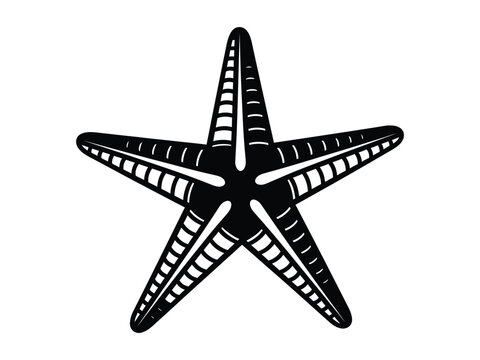Stylized Black and White Vector Illustration of a Starfish