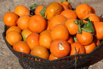 Fresh Ripe Mandarins in Basket, Natural Citrus Harvest Close-Up