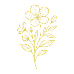 Obraz premium PNG Elegant floral line art design