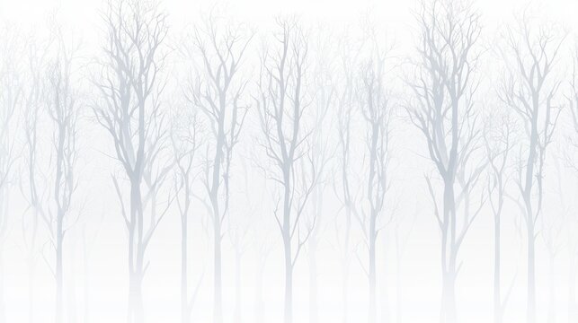 A forest of bare trees in a foggy landscape.