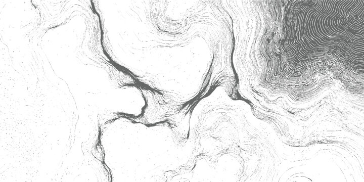 Abstract topographic map lines and dots forming swirling patterns in grayscale topography