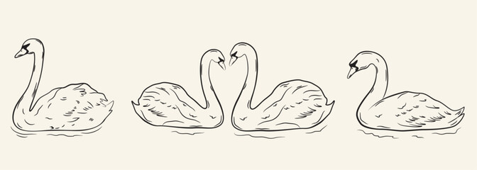 Black and white ink sketch of four swans swimming on water with romantic heart shape necks illustration © DisignUA