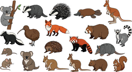 Cartoon animals collection featuring koala, kangaroo, platypus, red panda, fox, kiwi bird, bear, squirrel, mouse, armadillo, skunk, wombat, playful wildlife illustration © MDMizanur