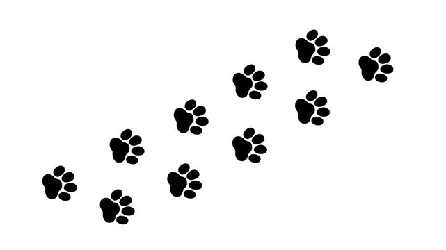 Animal paw print footsteps animation creating a moving trail on white background. Pet care, veterinary clinic, adoption campaign, and wildlife concept motion graphic in flat design style. 4K video