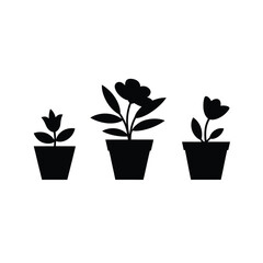 Obraz premium Simple black and white illustration of three potted flowering plants