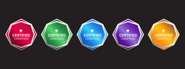 Premium Certificate Badge Hexagon Template Vector Illustration