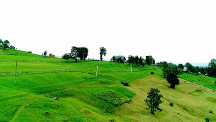 Fresh green land valley in mountain area
