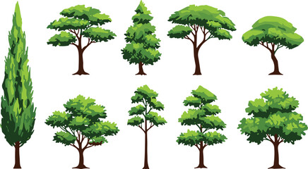 Collection of stylized tree illustrations with diverse foliage patterns and trunk designs, perfect for botanical studies, educational materials, eco projects, and creative design references © Creative World