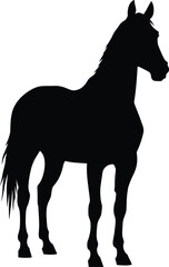 Obraz premium Black vector silhouette of a majestic horse standing in profile with a long mane and tail for equestrian sports nature and farm branding