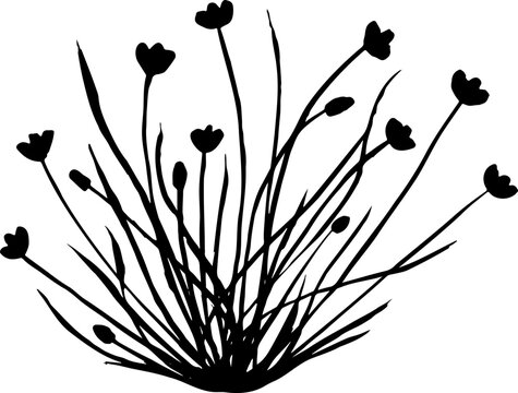 Об&rsquo;єкт та ілюстрація