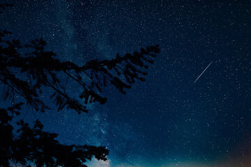 Milky Way stars and rural countryside tree silhouettes