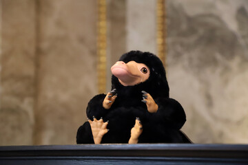Naklejka premium Niffler plush toy from Fantastic Beasts displayed in a retail store