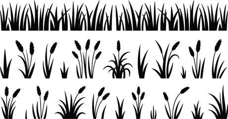Black grass and reed plant silhouettes set for nature decoration © KOM DAM