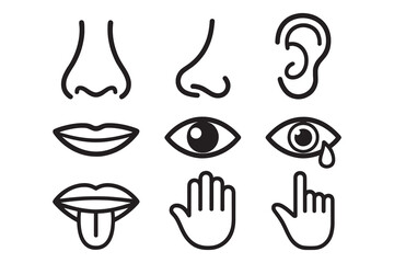 Human five senses line icon set with nose, ear, eye, mouth, tongue and hand symbols for education and medical design
