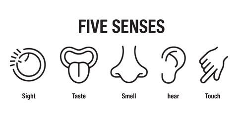 Five senses icons set: sight, taste, smell, hearing, touch line art