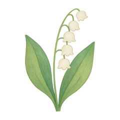 Naklejka premium PNG Delicate lily of valley illustration.