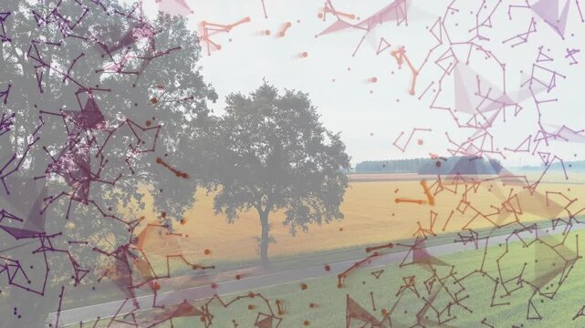 Nodes overlay starting at edges, growing inward upward over main tree and field, showing network