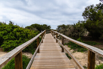 Obraz premium Wooden boardwalk leading through lush greenery in Menorca under a cloudy sky.