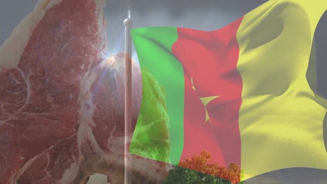 Tricolour flag fluttering after lens flare appears, revealing marbled steak and garnishes on board