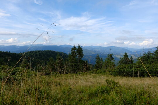 Landscape from a forest clearing to the tops of the mountains.