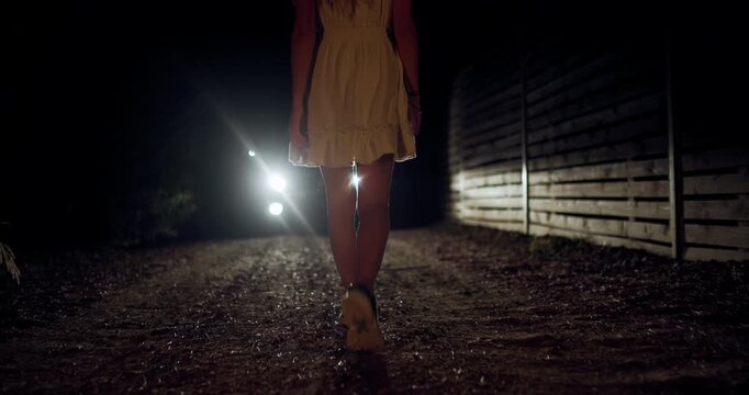 Night walk down a quiet path with gentle footsteps and a serene atmosphere in the darkness