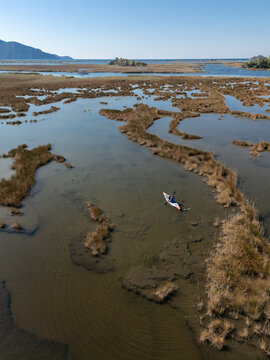 A kayak in a maze of water and reeds