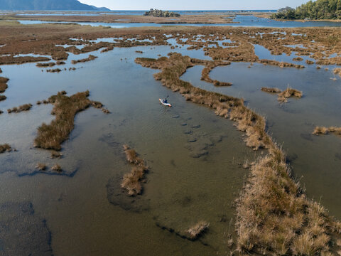 Paddling a kayak in a labyrinth of water and reeds