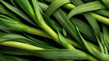 Obraz premium Fresh green leek leaves texture close-up for background.