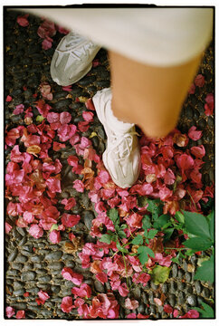 Fallen Bougainvillea Petals on Stone Path