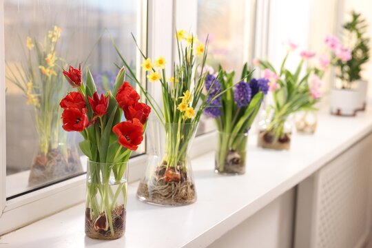 Beautiful spring flowers in vases on windowsill indoors, closeup