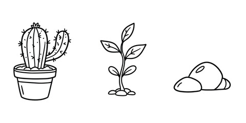 Line drawing of cactus plant in pot and young sprouting plant and stones  plants with thorns and leaves