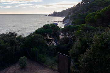 Coves. Small beaches or inlets in the Mediterranean. These are located in Lloret de Mar, on the Costa Brava in Spain.