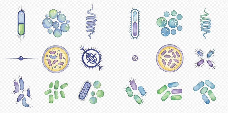 A collection of colorful illustrations showing various types of bacteria, microbes, and germs on a transparent background.