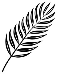 Fototapeta premium Simple Outline Drawing of a Palm Frond Leaf Silhouette Elegant Tropical Plant Element