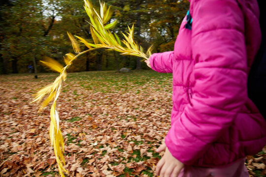 A girl in a pink puffer jacket swings a branch of yellow leaves
