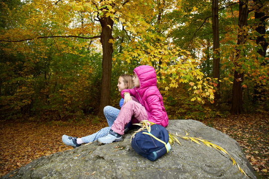 Two children sitting on a rock in the forest during autumn