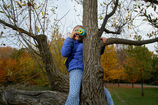 Child in a tree taking a photo