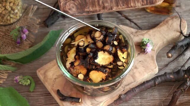 Putting sliced comfrey or knitbone root into a jar with alcohol - preparation of homemade herbal tincture