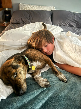 Child sleeping in bed with dog under blanket  
