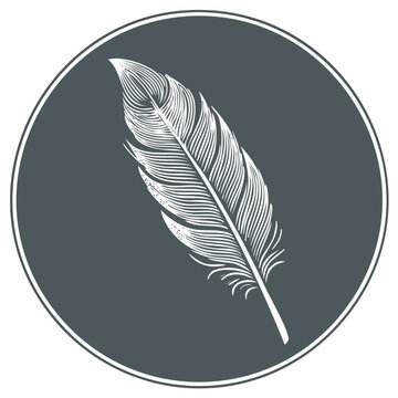 Elegant Feather Illustration in Circle Frame, Engraved Style, Decorative Element